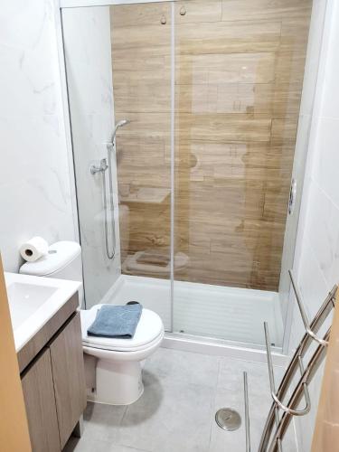 a bathroom with a shower and a toilet and a sink at Penedo Grande suítes T2 in São Bartolomeu de Messines