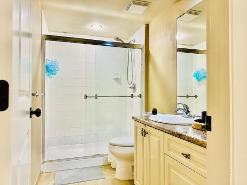 een badkamer met een douche, een toilet en een wastafel bij Langley 半地下室独立出入温馨卧房-桐花草堂 in Langley
