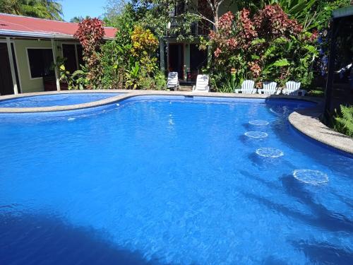 a swimming pool with blue water in a yard at La Casona Eco-Lodge Tortuguero in Tortuguero