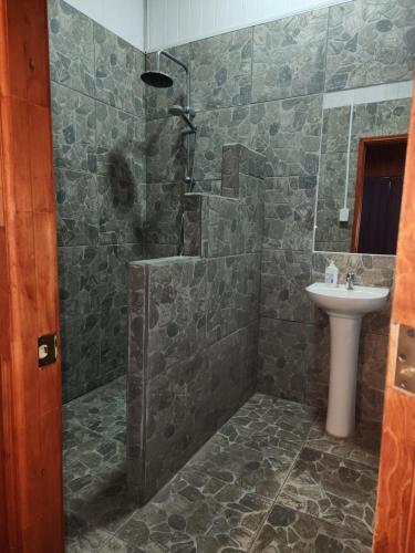 y baño con ducha y lavamanos. en Hostal Capricho de Carlitos, en Valdivia
