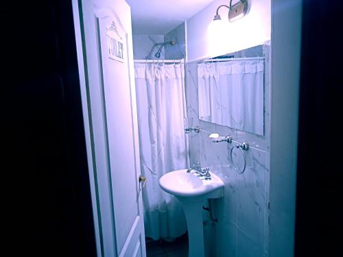 ein weißes Bad mit einem Waschbecken und einer Dusche in der Unterkunft La palmera in Trevelín
