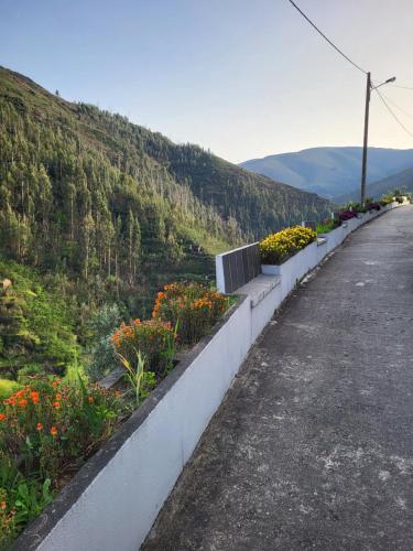 a road with flowers on the side of a hill at Free Spirit in Vale do Torno