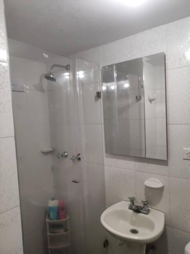 een badkamer met een wastafel en een douche met een spiegel bij APARTAMENTO CERCA A LA SENDA DEL CARNAVAL in Pasto