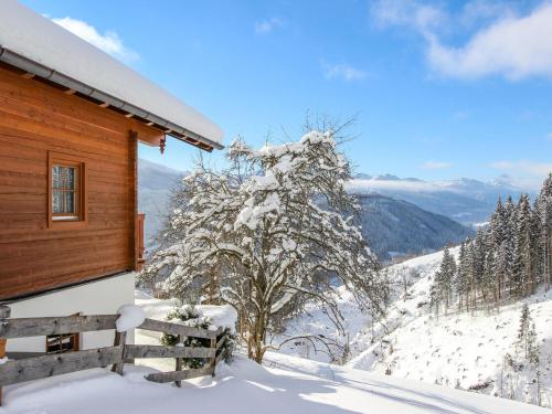 una cabaña de madera con un árbol cubierto de nieve en Schüttbach, en Wagrain