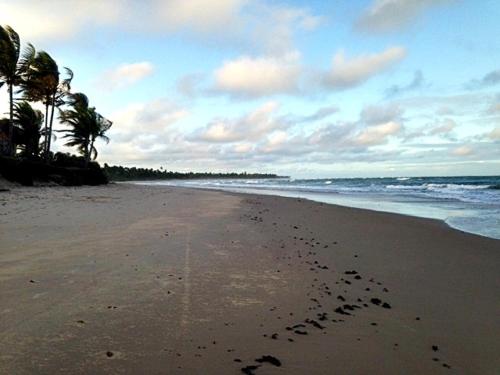 a beach with palm trees and footprints in the sand at Kíria's Village Beach House in Marau