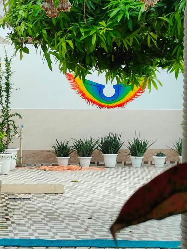a rainbow wreath hanging from a wall with plants at Shobhayan inn, airport railway station pickup free in Ayodhya