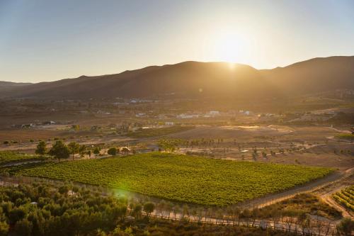 an aerial view of a vineyard with the sun setting behind mountains at Banyan Tree Veya, Valle de Guadalupe in Valle de Guadalupe
