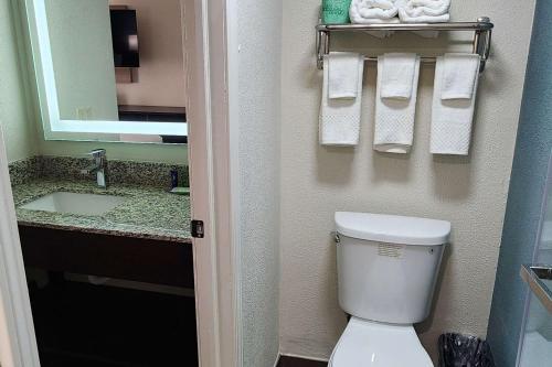 La salle de bains est pourvue de toilettes, d'un lavabo et d'un miroir. dans l'établissement Sleep Inn Olathe - Kansas City, à Olathe