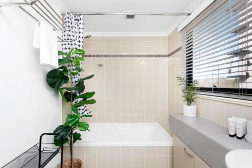 ein Badezimmer mit einer Badewanne und einer Pflanze darin in der Unterkunft 412: Marvelous Mounts Bay in Perth