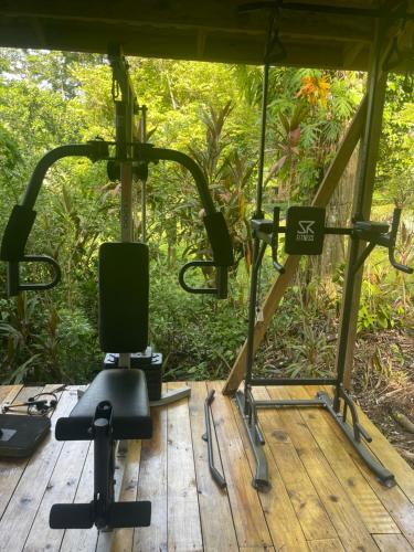 a room with a gym with a chair in it at Ponci’s Gate to Gaia Holistic Center in Bocas del Toro