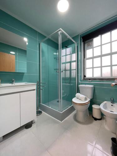 uma casa de banho com um chuveiro, um WC e um lavatório. em Apartamentos A'Dao em Nelas