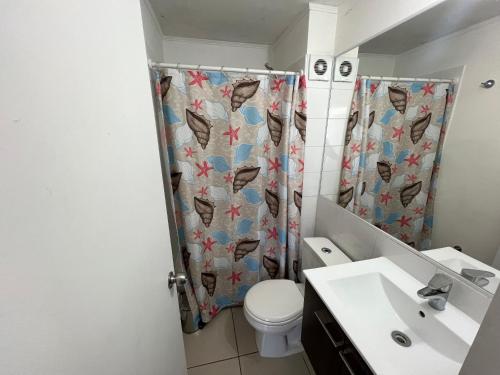 拉塞雷納的住宿－The Racoon Apartment，一间带卫生间和淋浴帘的浴室