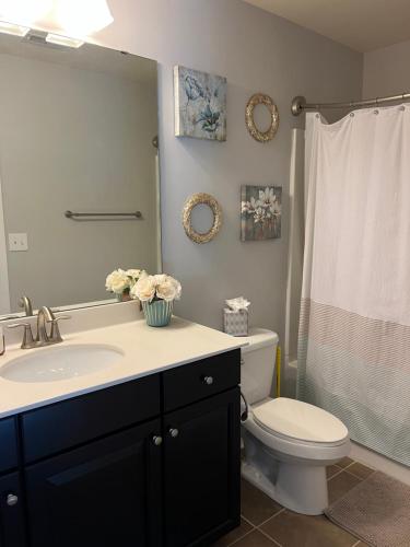 een badkamer met een wastafel, een toilet en een douche bij The Birch Bungalow in Charlotte