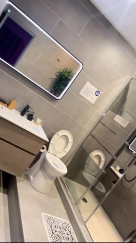 uma casa de banho com um WC, um lavatório e um espelho. em Dream SPA em Vitrolles