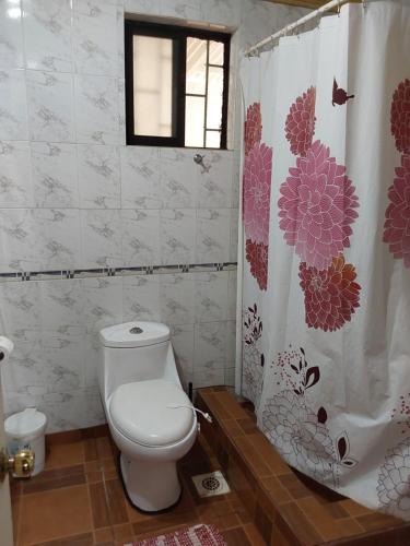 La salle de bains est pourvue de toilettes et d'un rideau de douche. dans l'établissement Te Ra'a Travel - Cabaña equipada, à Hanga Roa