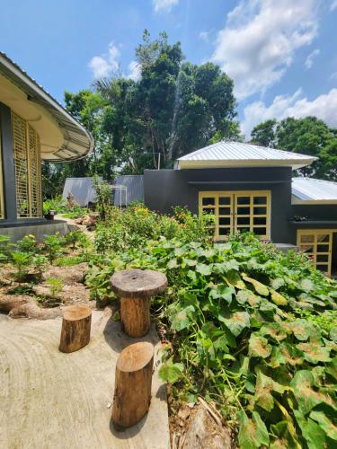 a garden with logs and plants and a house at D'flora Bungalow & Glamping in Noca