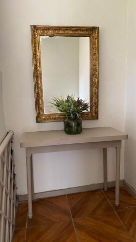 a table with a mirror and a plant on it at Templo de la Luna in Cusco