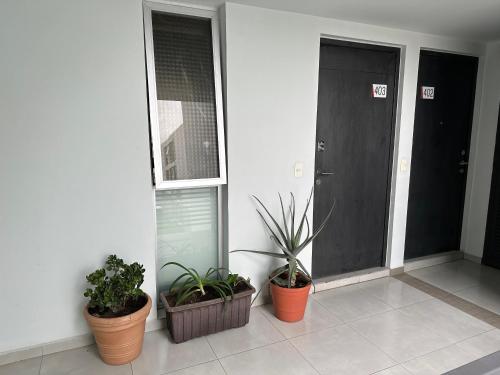 three potted plants sitting on the side of a building at Departamento de lujo exclusivo vistas y literas in Guadalajara