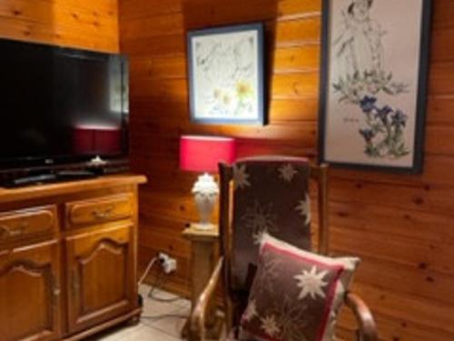 un salon avec une chaise et une télévision dans l'établissement Grand appartement 5 chambres - Proche centre, balcon sud, Wi-Fi et parking inclus - FR-1-671-251, aux Gets