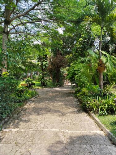 a walking path in a park with trees and plants at The Garden Family Guest House powered by Cocotel in Bogor