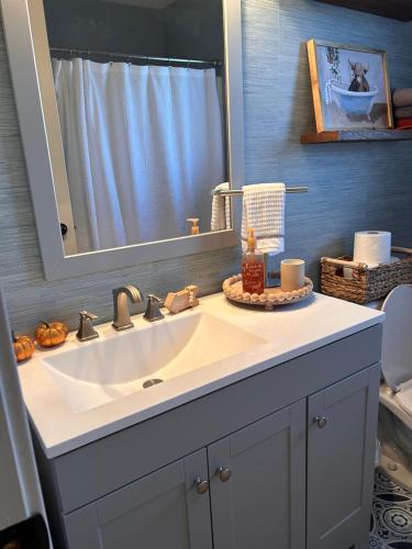 a bathroom with a sink and a mirror at McLaughlin home in Osceola