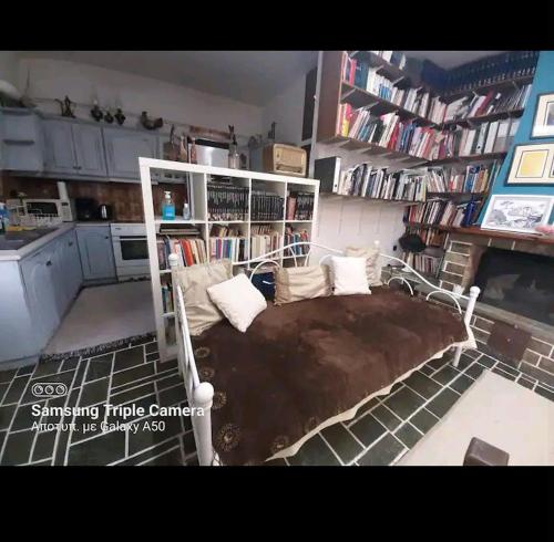 Η βιβλιοθήκη του διαμερίσματος