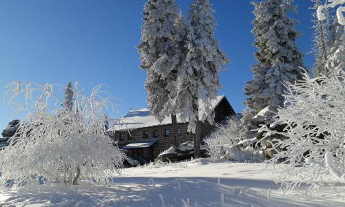 a group of trees covered in snow next to a building at Ferienwohnung Bayerwaldblick in Jandelsbrunn