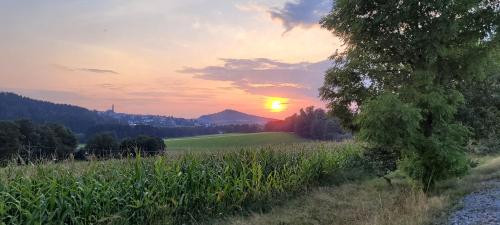 a sunset over a field with the sun in the background at Ferienwohnung Bayerwaldblick in Jandelsbrunn