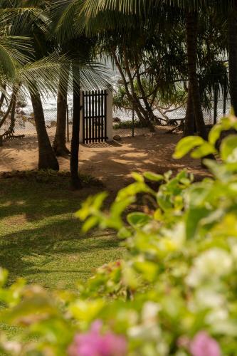 a park with palm trees and a bench on the beach at Coco Tangalla in Tangalle