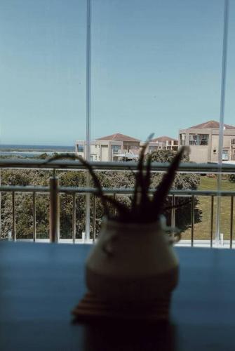 a vase sitting on a table in front of a window at X7 -Goose Valley-Ocean Views in Plettenberg Bay