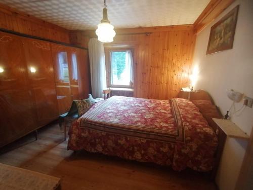 een slaapkamer met een bed in een kamer met een raam bij Appartamento Val Visdente 2 in Santo Stefano di Cadore