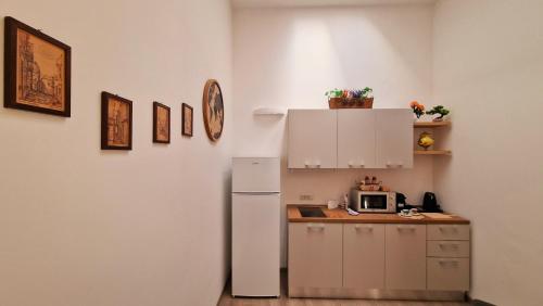 波佐利的住宿－Puteoli Sea View，厨房配有冰箱和微波炉。