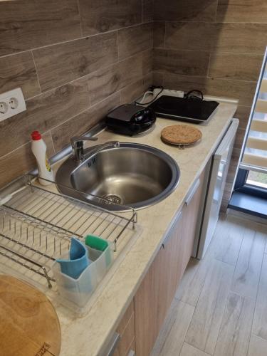 una cucina con lavandino e bancone di Apartman Planinski san Divčibare a Divčibare