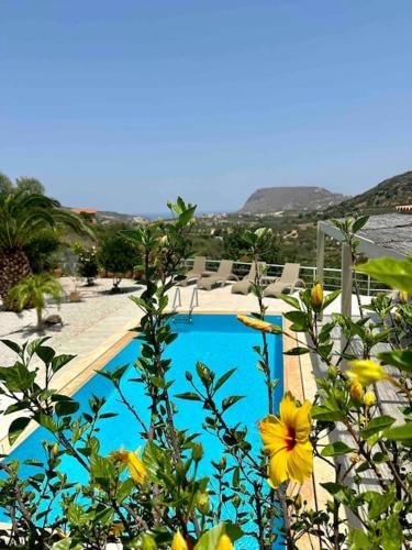 a view of a swimming pool with chairs and flowers at Mountain side oasis with view and pool in Vorós