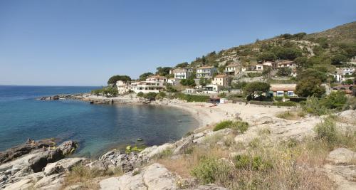 Blick auf einen Strand mit Häusern auf einem Hügel in der Unterkunft Hotel Da Fine in Seccheto