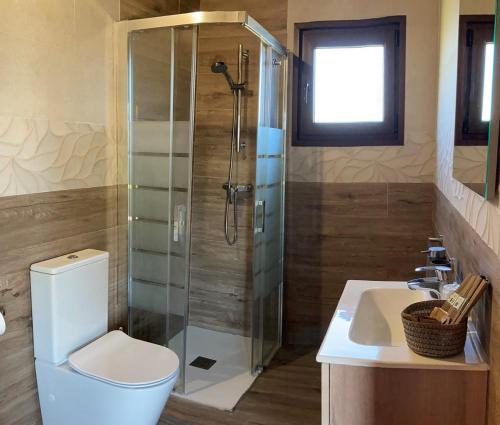 a bathroom with a shower and a toilet and a sink at A Quinta de Bouzas in Mazaricos