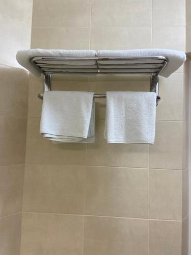 2 asciugamani su un portasciugamani in bagno di ЭкоДом a Bilhorod-Dnistrovs'kyj