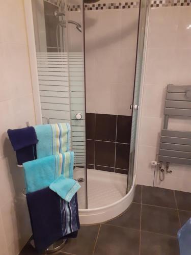 La salle de bains est pourvue d'une douche et de serviettes bleues. dans l'établissement Gîte Le pinot noir, à Rouffach