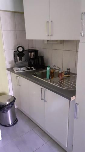 une cuisine avec un évier et un plan de travail dans l'établissement Gîte Le pinot noir, à Rouffach