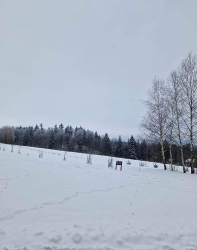 a field covered in snow with a bench in it at Agroturystyka W oddali z balią in Międzylesie