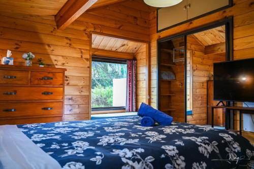 a bedroom with a bed and a television in a cabin at Auckland Beachview Homestay with free Netflix, Parking in Auckland