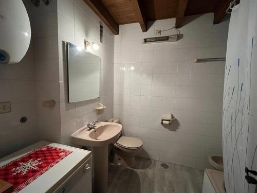 a bathroom with a sink and a toilet and a mirror at Apartamento esqui montaña Cofiñal in Cofiñal