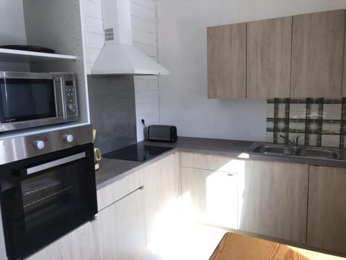 een keuken met een magnetron en een zwarte oven bij appartement 6 places station super besse in Besse-et-Saint-Anastaise