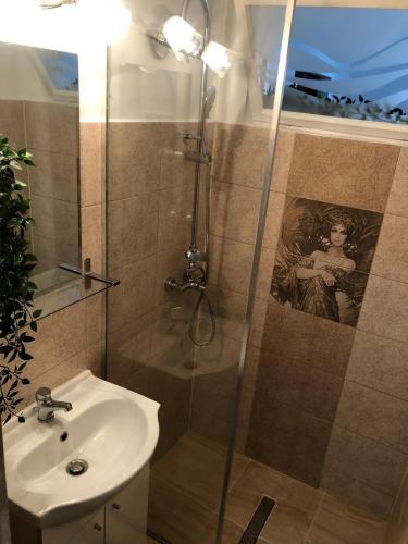 a bathroom with a shower and a sink at Studio Central Doamnei in Bucharest