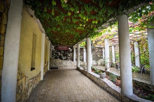 Κήπος έξω από το Hotel Trzy Światy Spa & Wellness Rajska WySpa