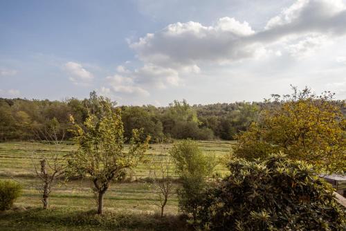 a field with trees in the middle of at El Rebastral - Mas Vinyoles Natura in Sant Pere de Torelló