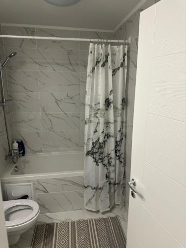 a bathroom with a shower curtain and a toilet at Adagio apartment in Creţuleasca