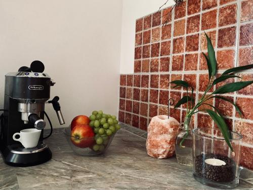 Fotografie z fotogalerie ubytování Apartmány U Zlaté Rybky v destinaci Staňkov