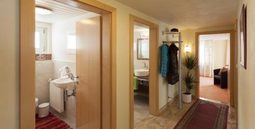 La salle de bains est pourvue d'un lavabo et de toilettes. dans l'établissement Appartement Zint, à Sankt Gallenkirch
