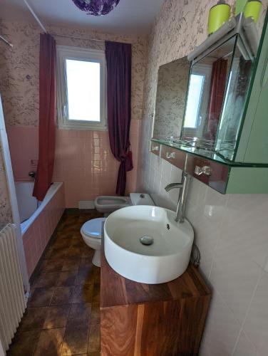 une salle de bain avec un lavabo et des toilettes dans l'établissement Clef Secrète, à Amboise